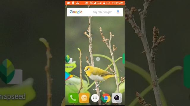 Photo Editor Apps for Android Mobile📱📱 free Download!!!😍😍😍 смотреть онлайн