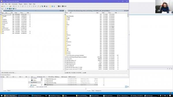 Debugging with IDA: Setting up IDA for use with Windbg's debugger engine