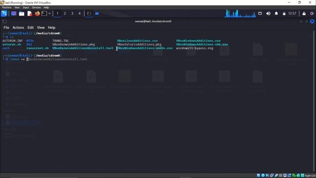 How to Drag and Drop Files/Folders between VirtualBox Windows 10 and Host Computer? смотреть онлайн
