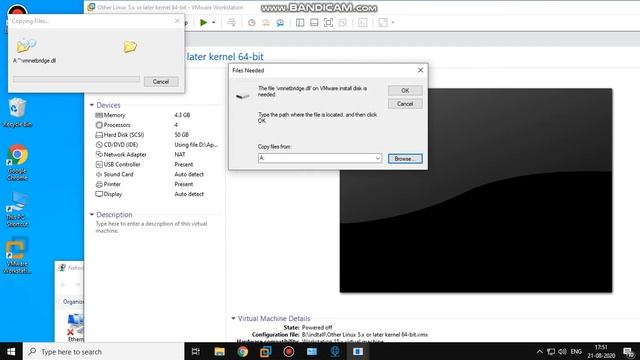 Vmware problem with network in kalilinux and windows not working internet solve смотреть онлайн