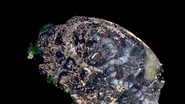 Gallery of 3D scan model using "Scaniverse" app for iPhone смотреть онлайн