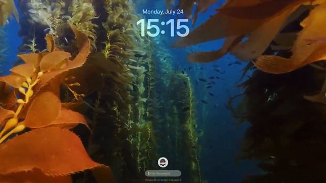macOS Sonoma Lock Screen is just 🔥 смотреть онлайн