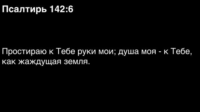 День 165. Библия за год. С митрополитом Иларионом.