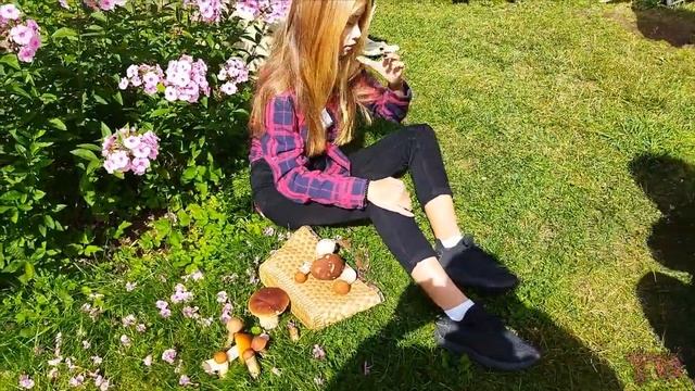 КАРЕЛИЯ, МЫ ИДЕМ ПО ГРИБЫ, ГРИБНАЯ ФОТОСЕССИЯ, ГОТОВИМ ШАШЛЫКИ НА ДАЧЕ