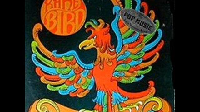 Beautiful Scarlet - Rare Bird