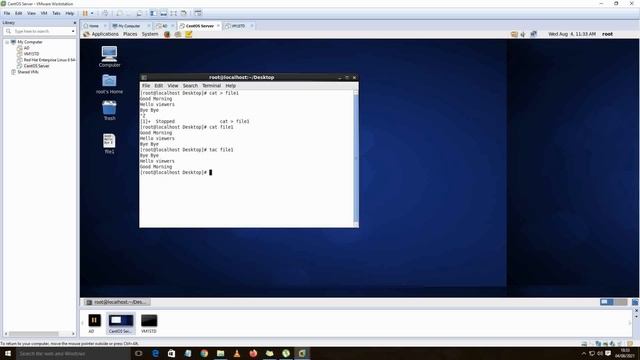 How to read and write files in Linux basic commands смотреть онлайн