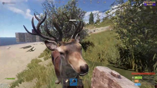 Rust/Неудачный Рейд.Получил люлей. смотреть онлайн