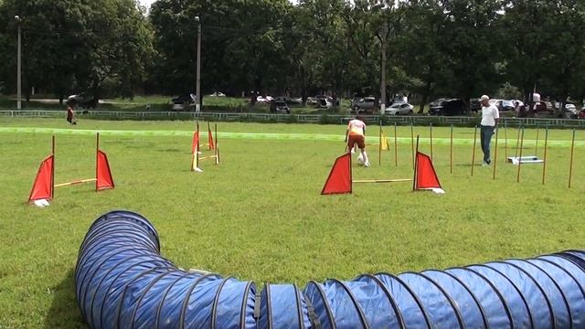 Овсиенко Виктория и прт Акура. А1 джампинг смотреть онлайн