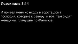 День 225. Библия за год. С митрополитом Иларионом.