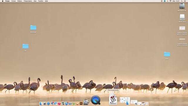 utilisation de torrent 411 mac et pc смотреть онлайн