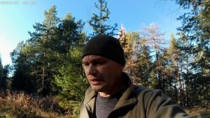 ✅🍁🍁Красивый осенний лес. Экшн-камера Digma DiCam 880 4К (3840 х 2160), 60 фпс