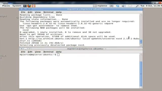 Resetting the DNS Table in Ubuntu смотреть онлайн