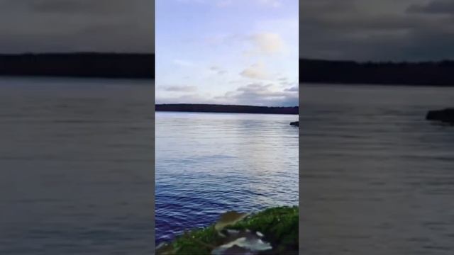 #лодкипвх Рыбалка# ностальгия!!!#