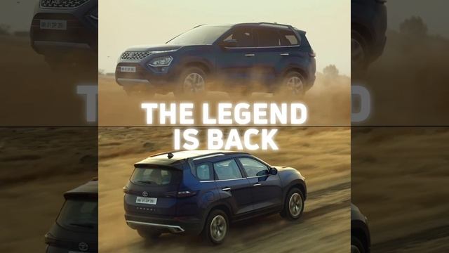 All-New SAFARI | Performance смотреть онлайн