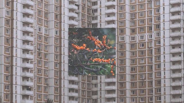 Работа Москва 50000 (смотри описание) смотреть онлайн