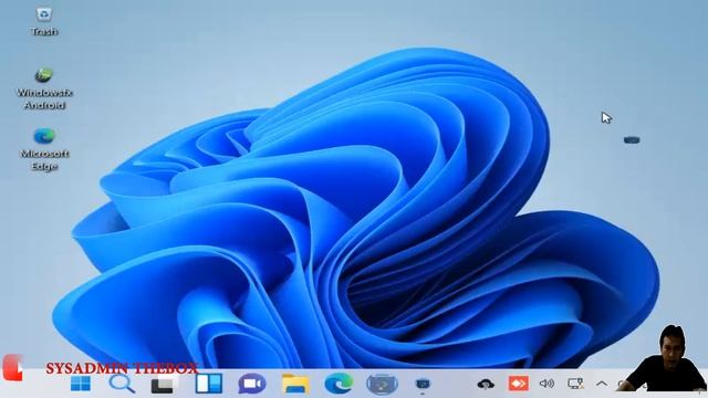 SYSADMIN THEBOX : INSTALASI LINUX WINDOWSFX v.11.1.1103 PLASMA WIN11 THEME смотреть онлайн