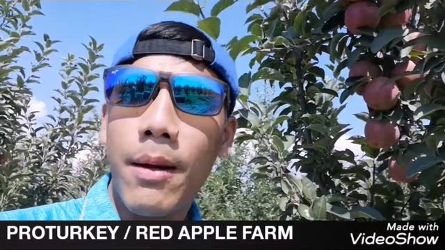ตุรกี Red Apple farm #jorjack #probooking #pro #proturkey #turkey смотреть онлайн