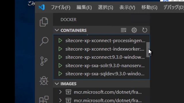 Sitecore コンテナの展開 - Sitecore on Docker смотреть онлайн