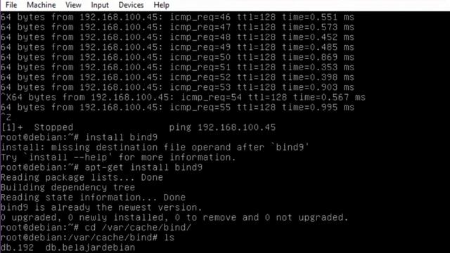 Tutorial Setting IP, DHCP, DNS Server dan Web Server Pada Debian 2022 смотреть онлайн