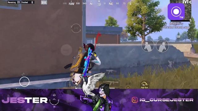 CURSE JESTER Live Stream | only classic today!!!! | BGIS I IGL POV смотреть онлайн