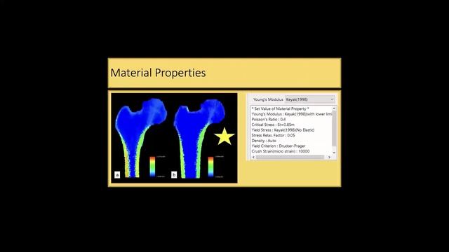 No. 2 The Biomechanical Effects of Cortical Window Size and Location on Proximal Femur Strength:.. смотреть онлайн