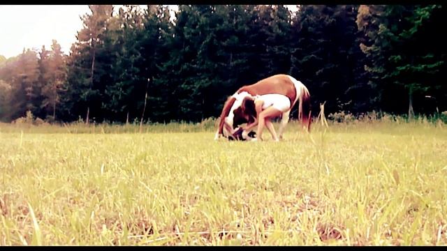 ll Summer ll смотреть онлайн