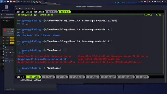 01개고생하면서 배우는 Kali Linux(C언어, LLVM설치 세팅) смотреть онлайн