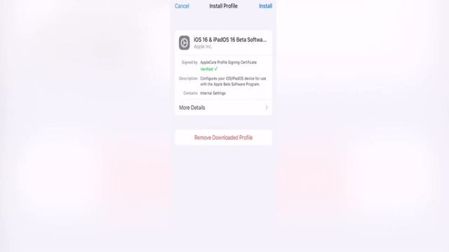 How to install iOS 16 Public Beta on any iPhone смотреть онлайн