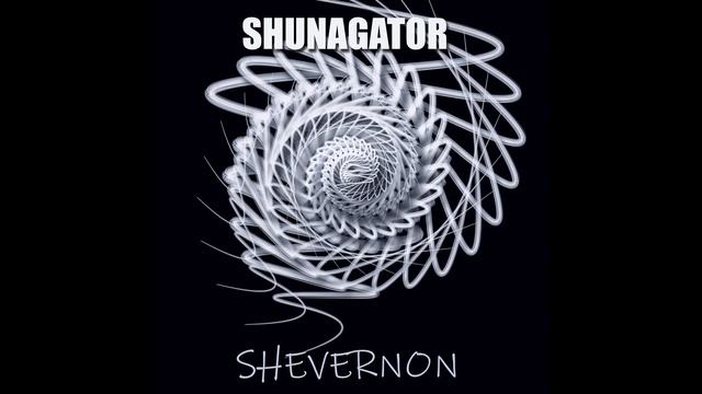 Shunagator- The glance from the broken window смотреть онлайн