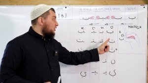 Урок №13. Буквы [ ب - ت - ث - ن - ي ] Разница и сходство
