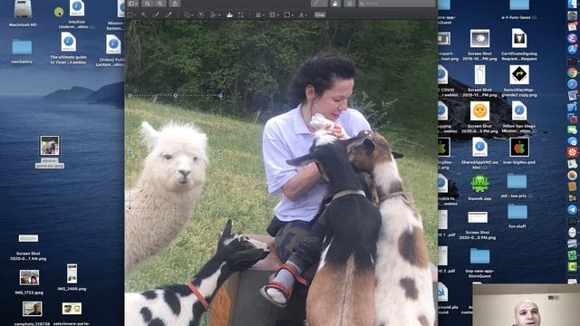 46. Come selezionare parte di una foto nel Mac смотреть онлайн