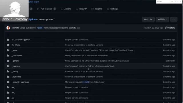 Thoth: the Python cloud resolver смотреть онлайн