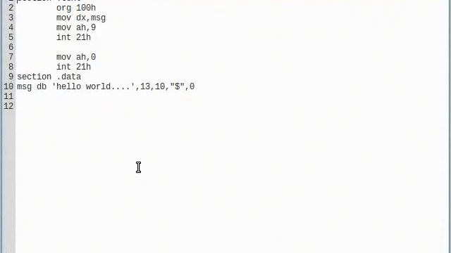 nasm compiler смотреть онлайн