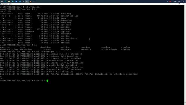 Просмотр логов | FreeBSD 12.2 смотреть онлайн