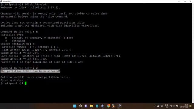How to add a disk to a Linux Server смотреть онлайн