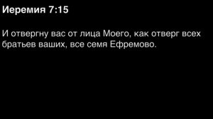 День 205. Библия за год. С митрополитом Иларионом.