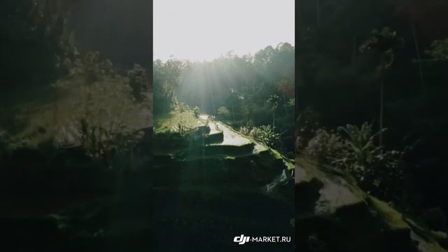 DJI Avata смотреть онлайн