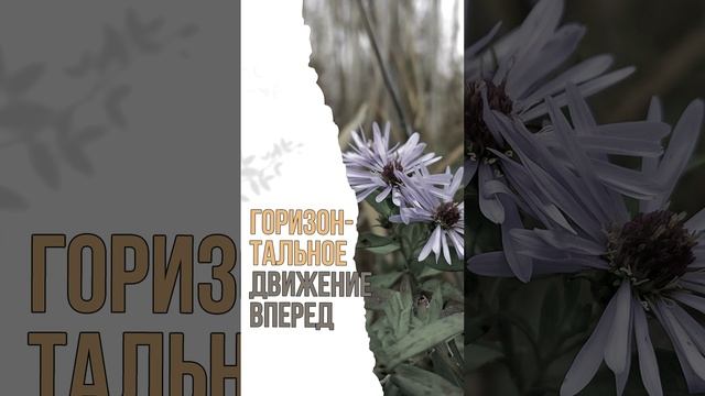 3. Горизонтальное движение вперед / Курс по Созданию Видео смотреть онлайн