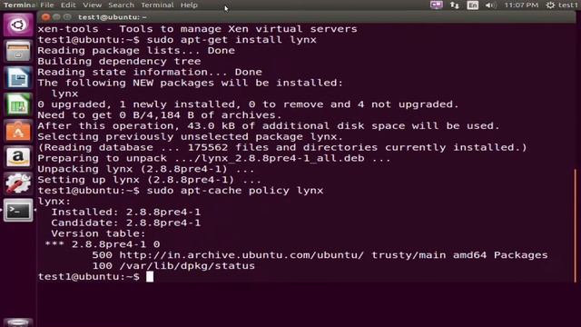Managing Linux Package on Debian Family System смотреть онлайн
