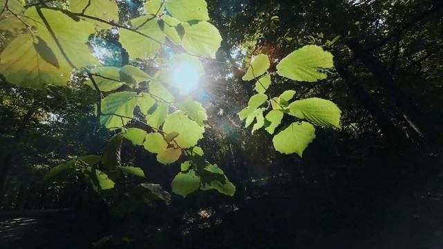 Dji action2 cinematic footage
#djiaction2 смотреть онлайн