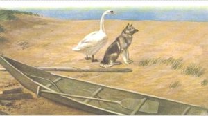 Д  Мамин Сибиряк Приемыш