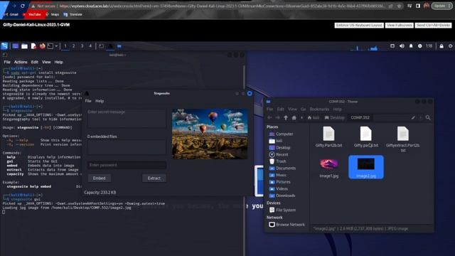 How to embed and extract a text into image Kali Linux Stegosuite смотреть онлайн