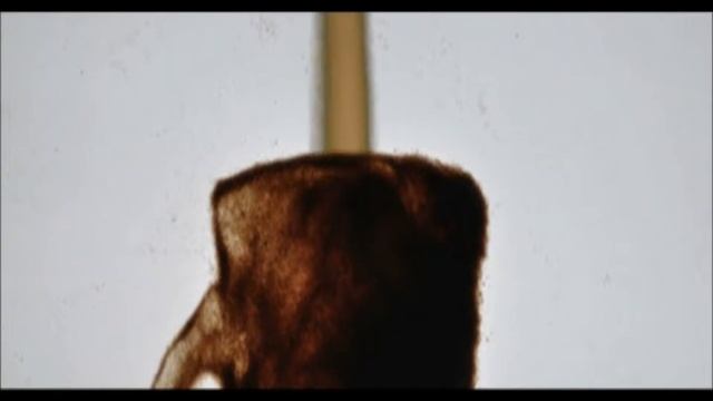 Animation Open: David Lifton - 'XII' смотреть онлайн