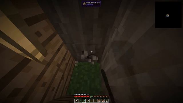Minecraft Direwolf treecapitation test. *Fedora intensifies* смотреть онлайн
