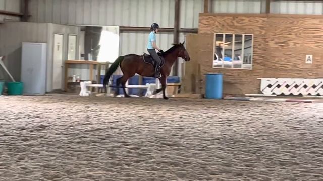 Eve canter right смотреть онлайн