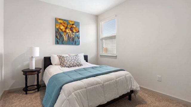 14117 Cantarra Drive Pflugerville, TX 78660 | Sharmin Rashid | Top Real Estate Agent