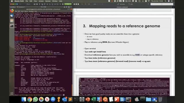 PANGEA webinar: Steven Kemp - Introduction to Bioinformatics and Tools смотреть онлайн
