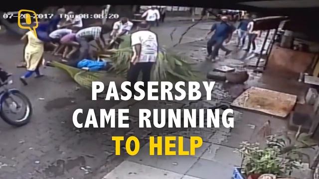 Woman Succumbs to Injury After a Coconut Tree Falls on Her - The Quint смотреть онлайн
