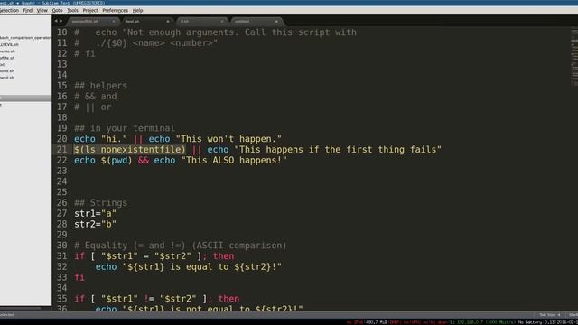 Bash Programming 6 'if'and Testing posted by techology смотреть онлайн