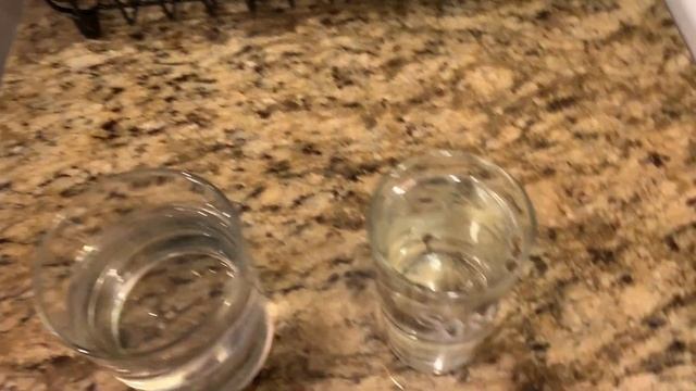 How To Germinate Cannabis Seeds | My First Grow 2 смотреть онлайн